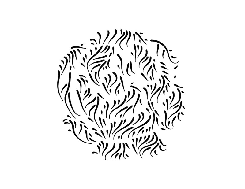 image of SVG art called 'Rose Stroke Test'